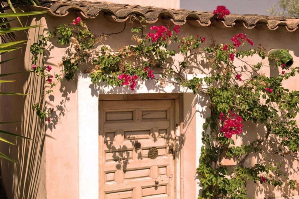 Sitges Hill Retreats-Masia Nur 22 Bedrooms Divided Over 9 Houses For Max 44 Guests Canyelles  Esterno foto